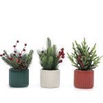 Χριστουγεννιάτικη Γλάστρα Με Φυτό Και Κόκκινα Berries Φ10x25cm Σε 3 Σχέδια