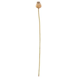 Κλαδί Σενέκιο ArteLibre Τεχνητό Καφέ 55cm