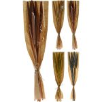 Φύλλα Αποξηραμένα ArteLibre Bajra Grass Δεμένα Σε Χάρτινη Θήκη Σε 4 Ποικιλίες