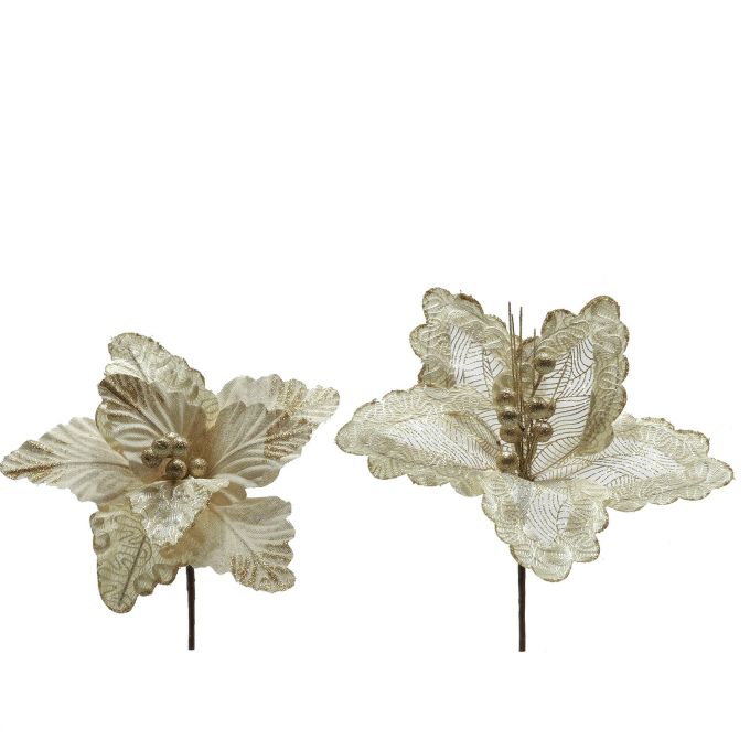 Χριστουγεννιάτικο Λουλούδι Σαμπανιζέ Με Χρυσό Γκλίτερ 40cm Σε 2 Σχέδια