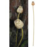 Κλαδί Σενέκιο ArteLibre Τεχνητό Καφέ 55cm