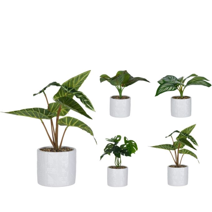 Φυτό Τεχνητό ArteLibre 25cm Σε Λευκό Κεραμικό Γλαστράκι 11x11x10cm Σε 4 Ποικιλίες