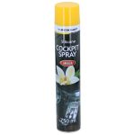 Σπρέι Καμπίνας Βανίλια 750ml DUNLOP