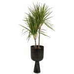 Κασπώ ArteLibre Μαύρο Αλουμίνιο 24x24x34cm