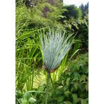 Κλαδί ArteLibre Τεχνητό Πράσινο 74cm