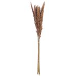 Δέσμη Πάμπας Γρασίδι Συνθετικό Καφέ 70cm